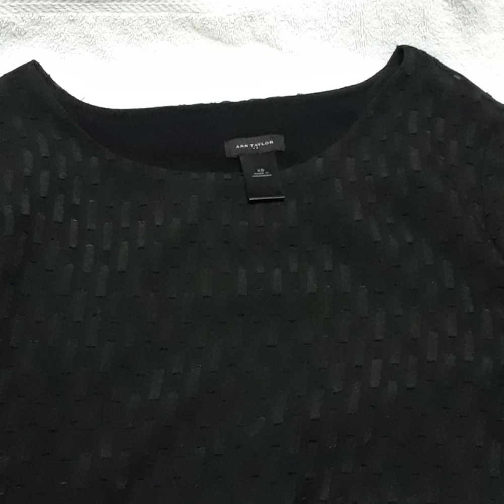 Sheer Blouse - image 4